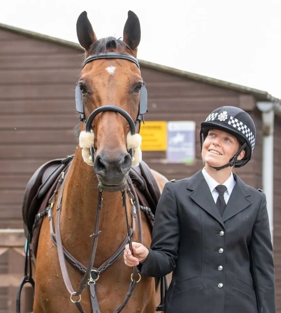 Sandra Lee Team Horsehill Farm