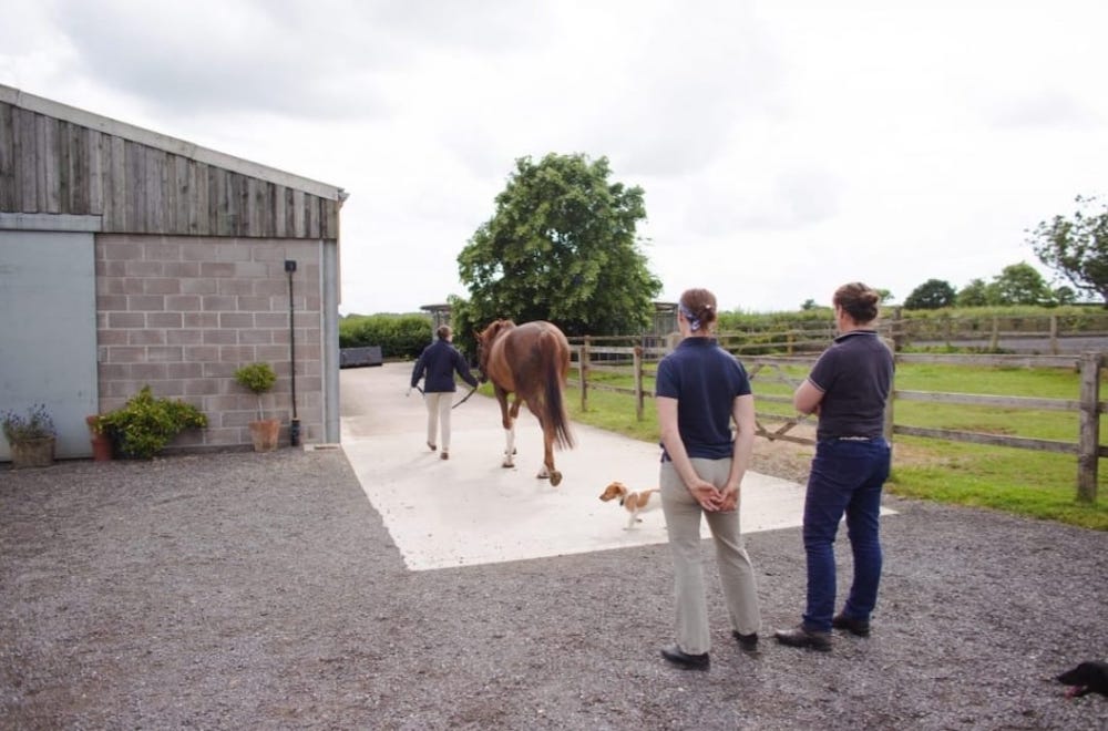 Damory Equine Vets Team Horsehill Farm