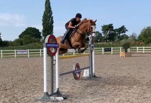 Trip North To Jump Some Fabulous Ponies
