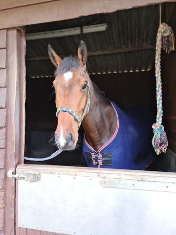 Barry Finds A New Home