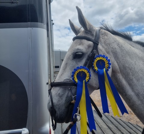 Chard Showjumping - Kuzco Van De Postbann