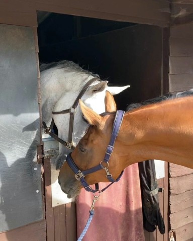 Sharing the love