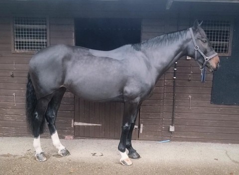Clipping Season in Full Swing
