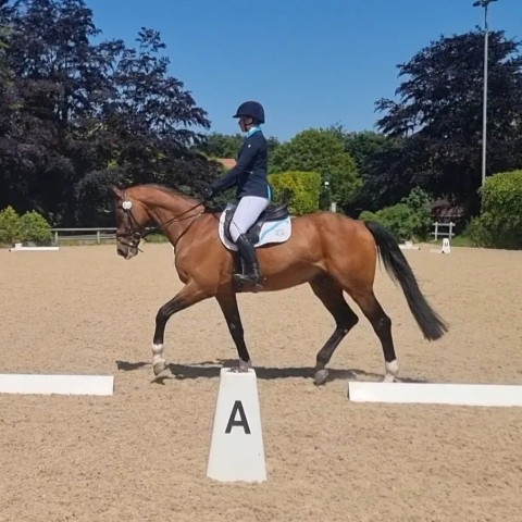 Goodbye Millfield Roly Poly