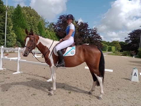Dorset Showground - Dressage
