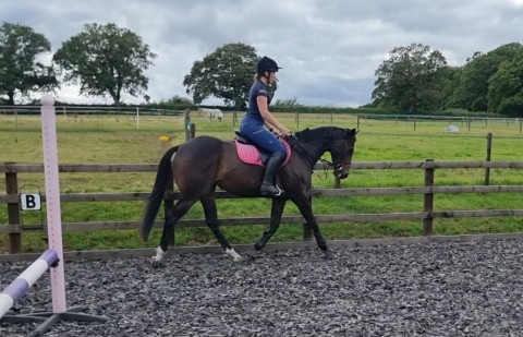 Storm heads off to new home