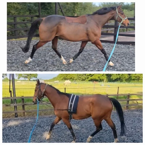 Glow Up