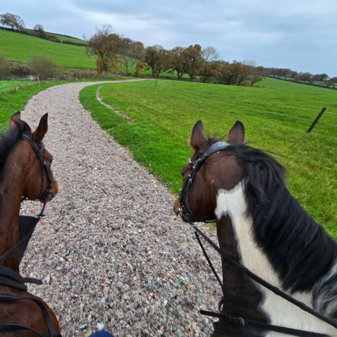 Gallops trip