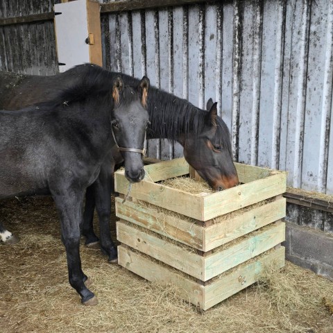 New Hay Crates