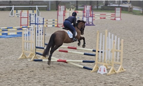 Dorset Showground - Clear Round