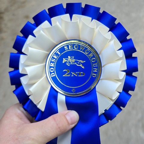 Dorset Showground- BS Holly