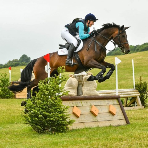 Kingston Maurward - BE Holly