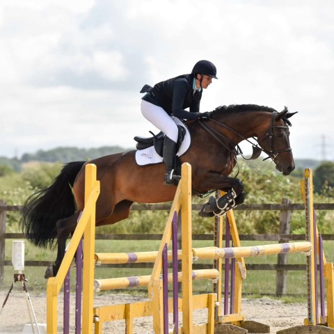 Kings Sedgemore - BS Holly