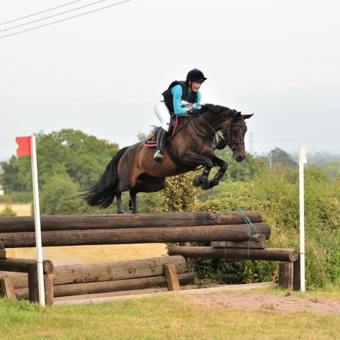 West Wilts - BE Holly