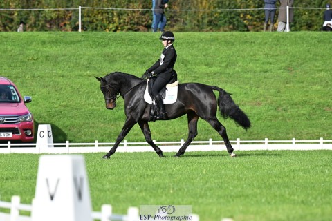 Bicton 3 Day Event Day 1 - Holly